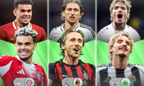 WEB - SUMMER SIGNINGS